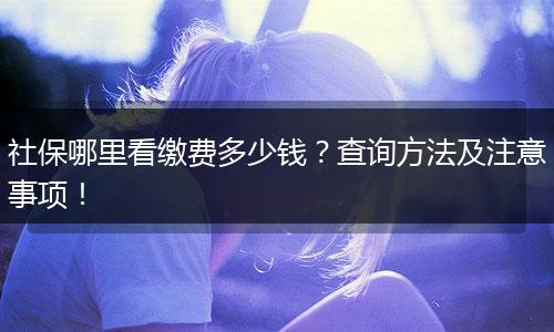 社保哪里看缴费多少钱？查询方法及注意事项！