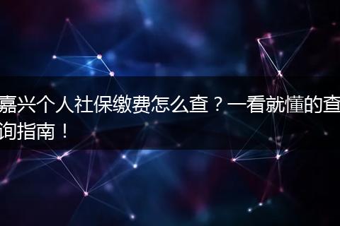 嘉兴个人社保缴费怎么查？一看就懂的查询指南！