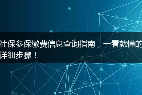 社保参保缴费信息查询指南，一看就懂的详细步骤！