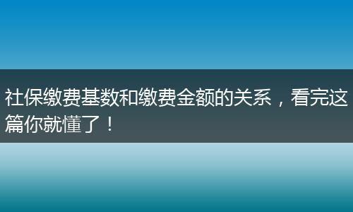 社保缴费基数和缴费金额的关系，看完这篇你就懂了！