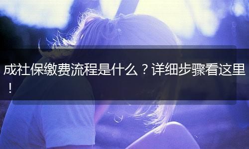 成社保缴费流程是什么？详细步骤看这里！