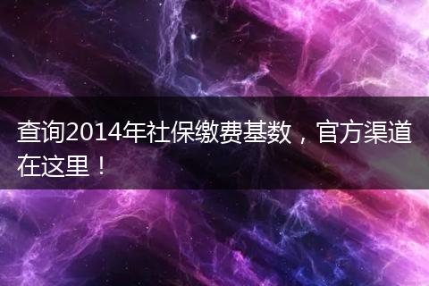 查询2014年社保缴费基数，官方渠道在这里！