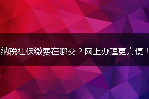 纳税社保缴费在哪交？网上办理更方便！