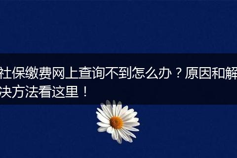 社保缴费网上查询不到怎么办？原因和解决方法看这里！