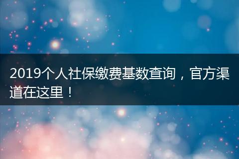 2019个人社保缴费基数查询，官方渠道在这里！