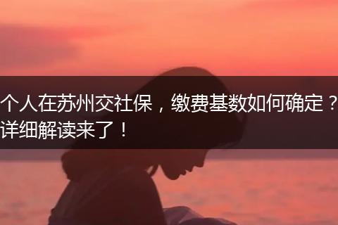 个人在苏州交社保，缴费基数如何确定？详细解读来了！