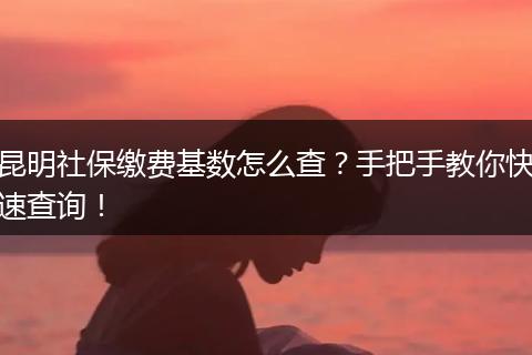 昆明社保缴费基数怎么查？手把手教你快速查询！