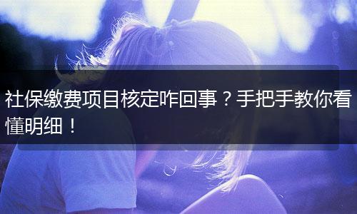 社保缴费项目核定咋回事？手把手教你看懂明细！