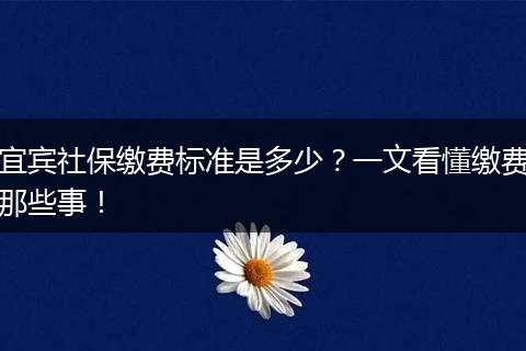 宜宾社保缴费标准是多少？一文看懂缴费那些事！