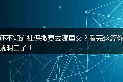 还不知道社保缴费去哪里交？看完这篇你就明白了！