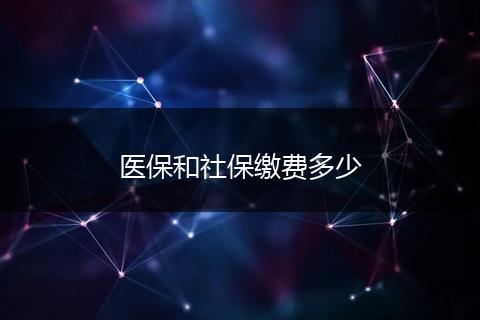 医保和社保缴费多少