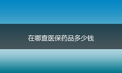 在哪查医保药品多少钱
