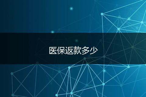 医保返款多少