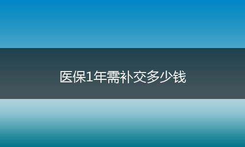 医保1年需补交多少钱