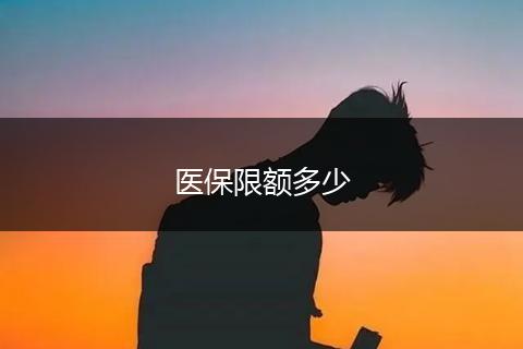 医保限额多少