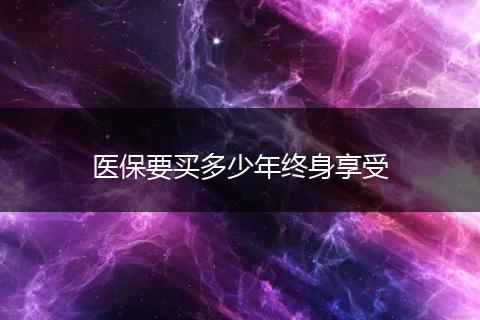 医保要买多少年终身享受