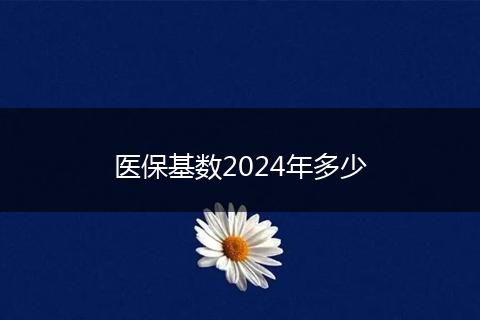 医保基数2024年多少