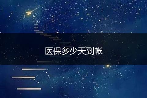 医保多少天到帐