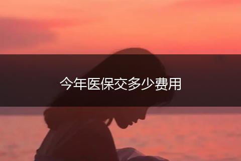 今年医保交多少费用