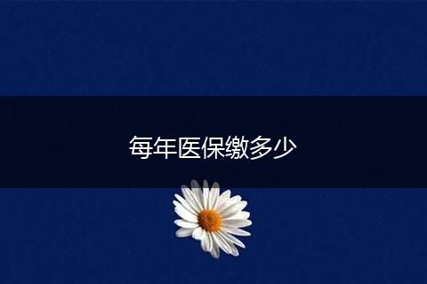 每年医保缴多少