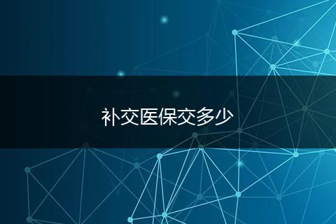 补交医保交多少