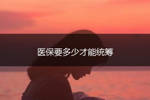 医保要多少才能统筹