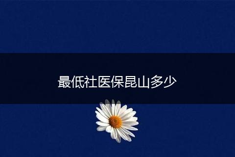 最低社医保昆山多少