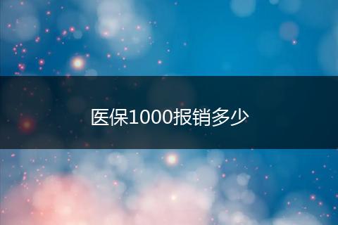 医保1000报销多少