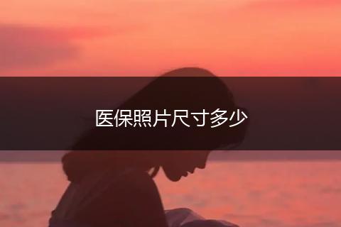 医保照片尺寸多少
