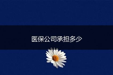 医保公司承担多少