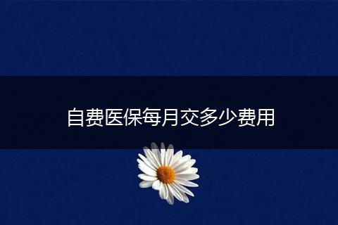 自费医保每月交多少费用