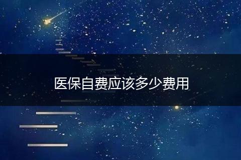 医保自费应该多少费用