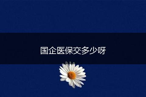 国企医保交多少呀