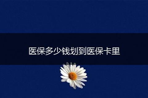 医保多少钱划到医保卡里