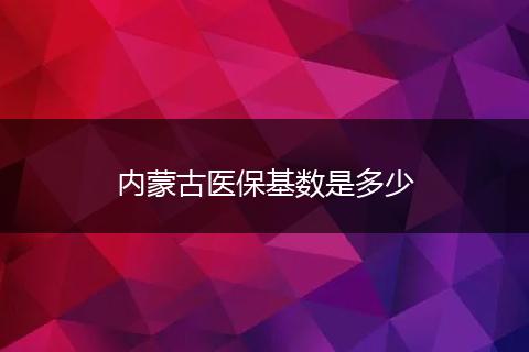 内蒙古医保基数是多少