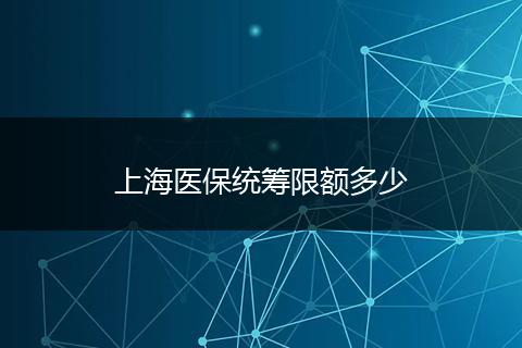 上海医保统筹限额多少