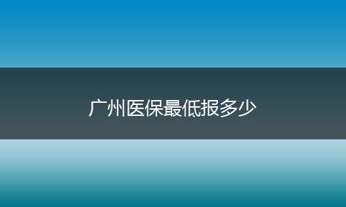广州医保最低报多少