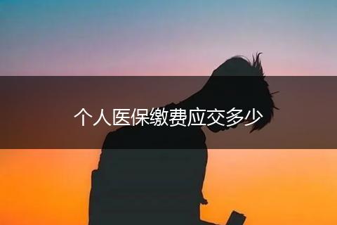 个人医保缴费应交多少
