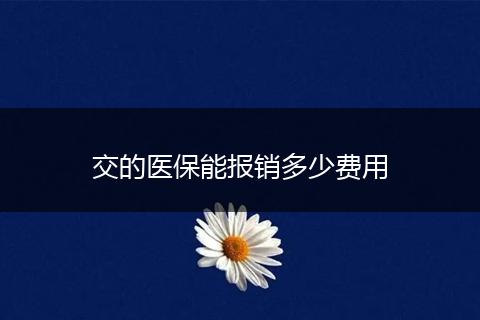 交的医保能报销多少费用