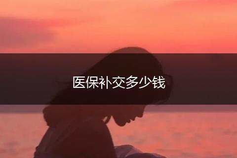 医保补交多少钱