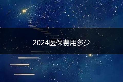 2024医保费用多少