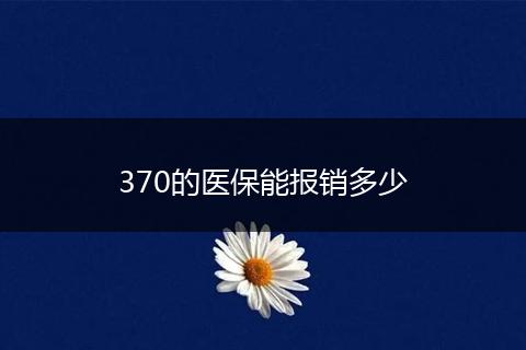 370的医保能报销多少