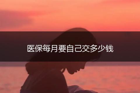 医保每月要自己交多少钱