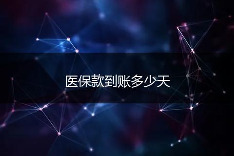 医保款到账多少天