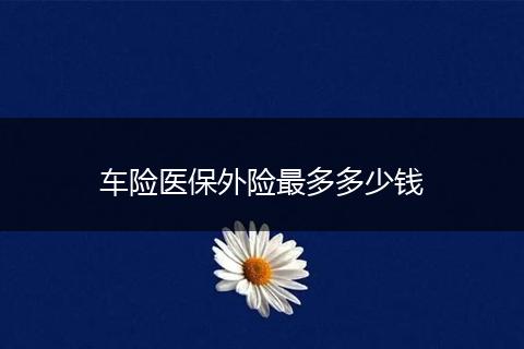 车险医保外险最多多少钱