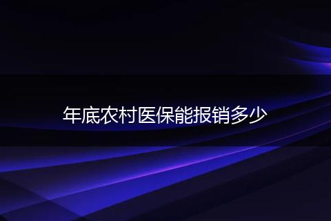 年底农村医保能报销多少