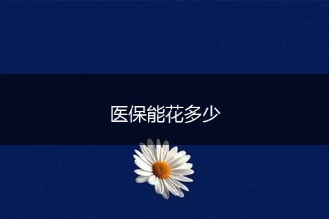 医保能花多少
