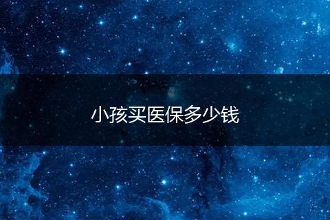 小孩买医保多少钱