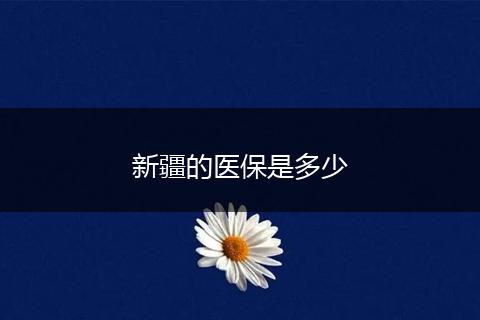 新疆的医保是多少