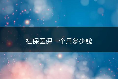 社保医保一个月多少钱